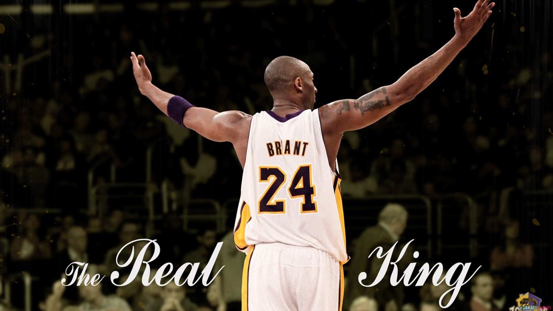 体育仲裁法庭裁定争议案件，维护赛事公平公正