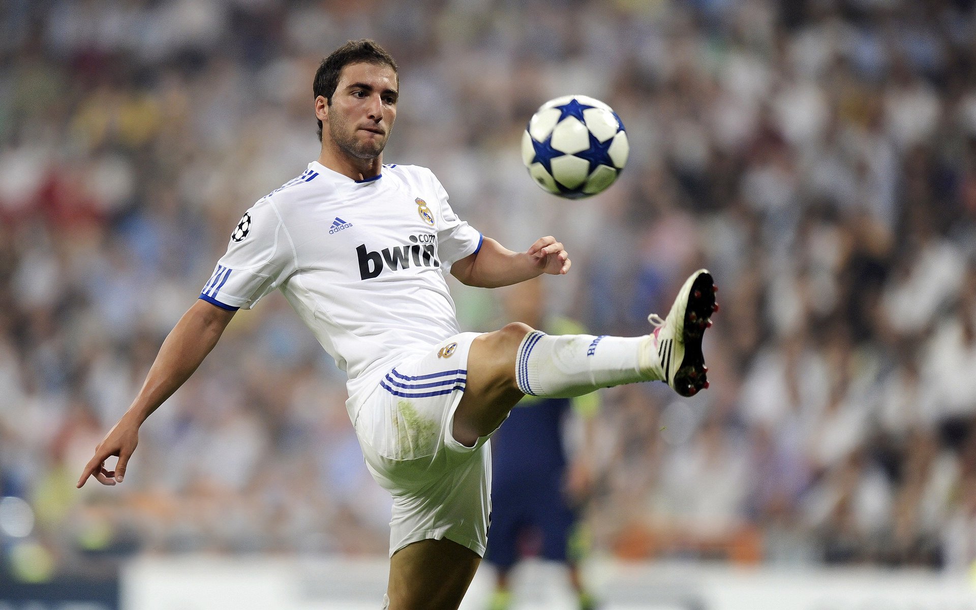 纳达尔强势回归法网，红土之王再展统治力